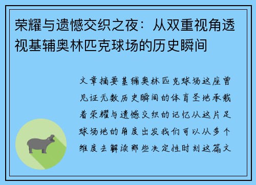 荣耀与遗憾交织之夜：从双重视角透视基辅奥林匹克球场的历史瞬间